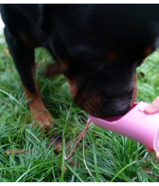 Botella de Agua Portátil para Perros con Dispensador de Alimento Integrado - Image 9