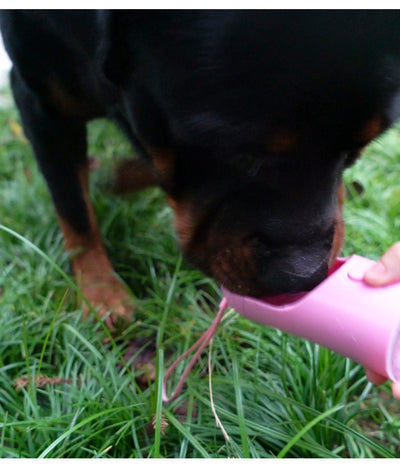Botella de Agua Portátil para Perros con Dispensador de Alimento Integrado - Image 5