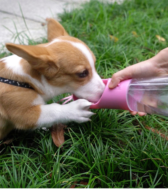 Botella de Agua Portátil para Perros con Dispensador de Alimento Integrado