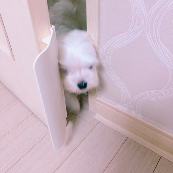 Puerta Automática para Mascotas con Abridor Auxiliar