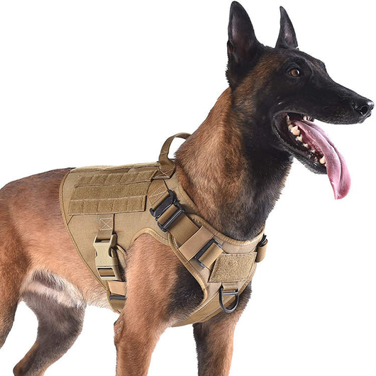 Arnés Táctico Ajustable para Perros - Cinturón de Seguridad Militar Doble Gancho - Image 4