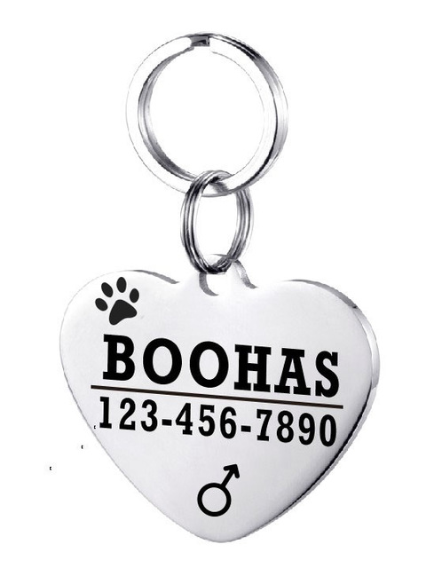 Placa de Identificación para Perro en Acero Inoxidable Personalizada - Image 34