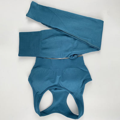 Conjunto Deportivo de Sostén y Top Fitness Europeo Americano - Image 29