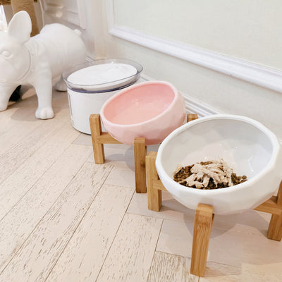 Comedero Elevado de Cerámica para Gatos con Soporte Ergonómico - Image 4