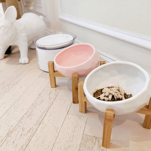 Comedero Elevado de Cerámica para Gatos con Soporte Ergonómico - Image 4