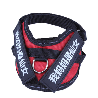 Colección Completa para Perros - Image 6