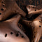 Ocarina Retro de 12 Agujeros para Principiantes