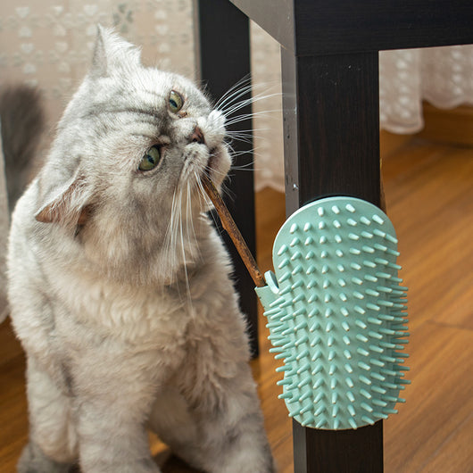 Peine Masajeador para Gatos - Rascador y Juguete Interactivo - Image 7