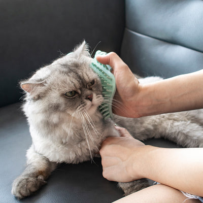 Peine Masajeador para Gatos - Rascador y Juguete Interactivo - Image 3