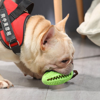 Brown textured pet chew toy with a rope and grey suction cup, designed for food leakage and dental cleaning.