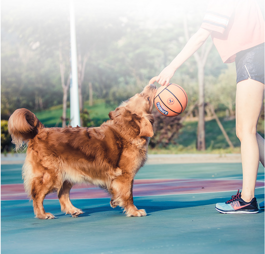 Orange basketball dog toy with a kettlebell-style handle, labeled GiGwi Jumball, for medium to large dogs. - Image 9
