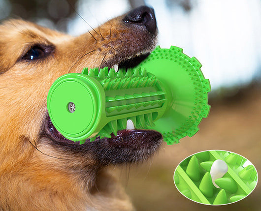 Juguete Masticable Limpiador Dental para Perros con Ventosa - Image 24