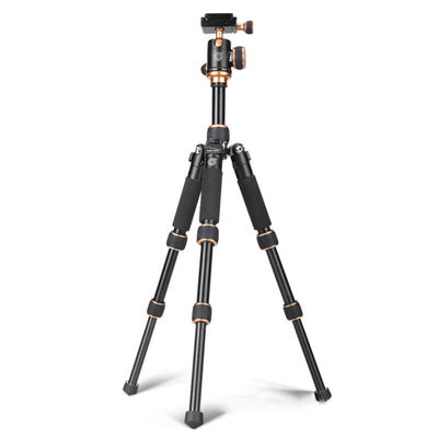 Trípode Portátil Multifuncional Compatible con Apple - Image 5
