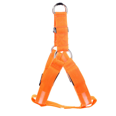 Arnés de Paseo para Perro con Iluminación LED - Image 22