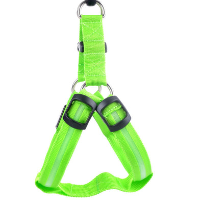 Arnés de Paseo para Perro con Iluminación LED - Image 21
