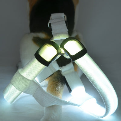 Arnés de Paseo para Perro con Iluminación LED - Image 33