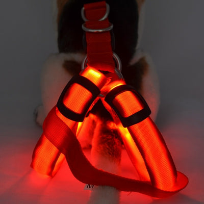 Arnés de Paseo para Perro con Iluminación LED - Image 34