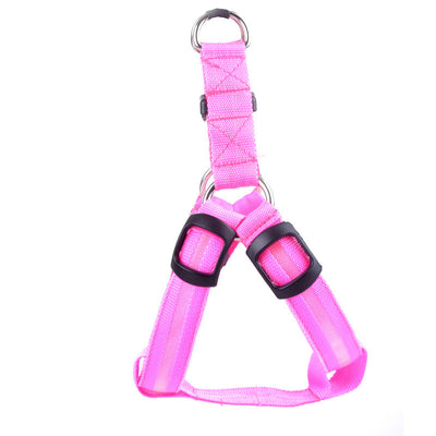 Arnés de Paseo para Perro con Iluminación LED - Image 11