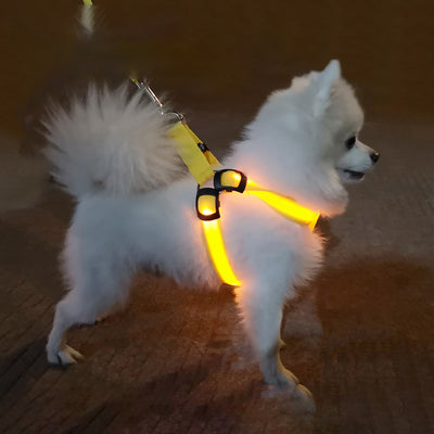 Arnés de Paseo para Perro con Iluminación LED - Image 9