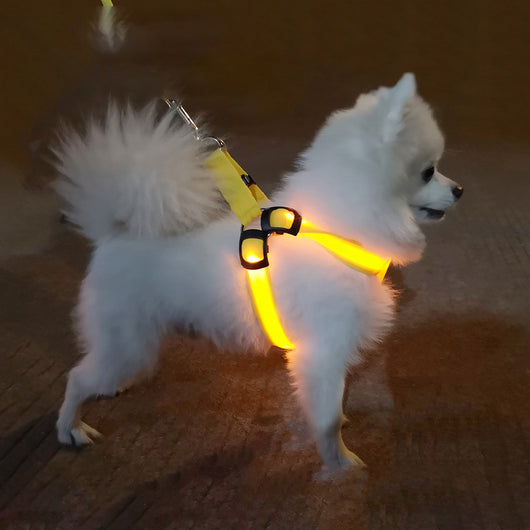 Arnés de Paseo para Perro con Iluminación LED - Image 10