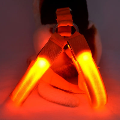 Arnés de Paseo para Perro con Iluminación LED - Image 7