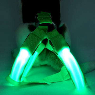 Arnés de Paseo para Perro con Iluminación LED - Image 5