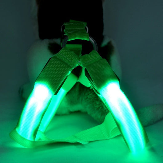 Arnés de Paseo para Perro con Iluminación LED - Image 5