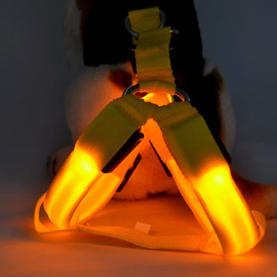 Arnés de Paseo para Perro con Iluminación LED - Image 4