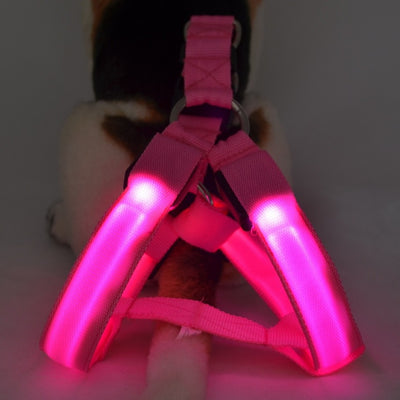 Arnés de Paseo para Perro con Iluminación LED - Image 2