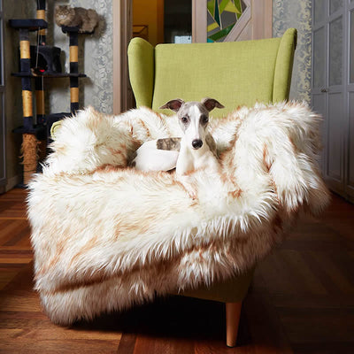 Cama para Perro Impermeable y Lavable - Sofá Cómodo Blanco con Detalles Café - Image 6