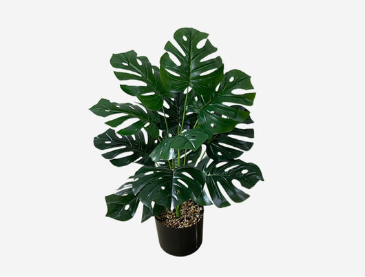 Planta Artificial Decorativa Tortuga - 12-24 Cabezas Verdes para Pared y Jardín - Image 34