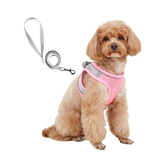 Small light brown poodle wearing an orange mesh dog vest harness with reflective trim and a retractable leash. - Image 5