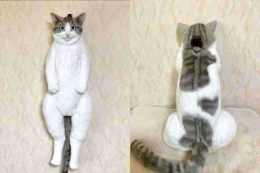 Mochila Gato Simulado con Peluche Desmontable - Juguete Infantil Realista - Image 8
