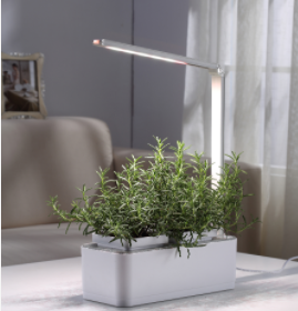 Kit de Cultivo Hidropónico Automático para Hierbas y Vegetales - Image 11