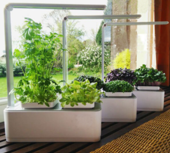 Kit de Cultivo Hidropónico Automático para Hierbas y Vegetales - Image 4