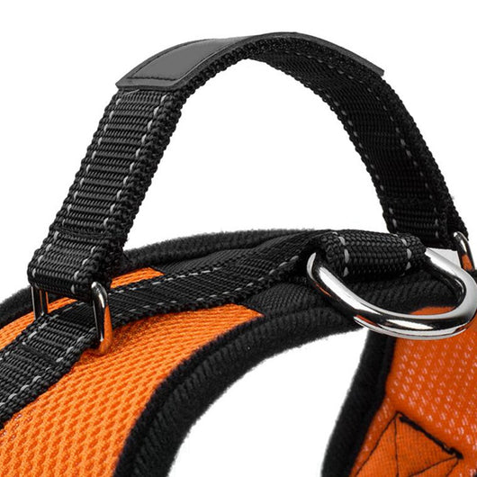 Arnés de Pecho Tipo Silla para Perro de Tela Antimotín - Image 14