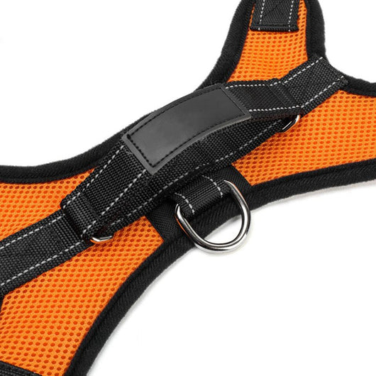 Arnés de Pecho Tipo Silla para Perro de Tela Antimotín - Image 7