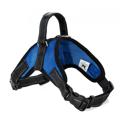 Arnés de Pecho Tipo Silla para Perro de Tela Antimotín