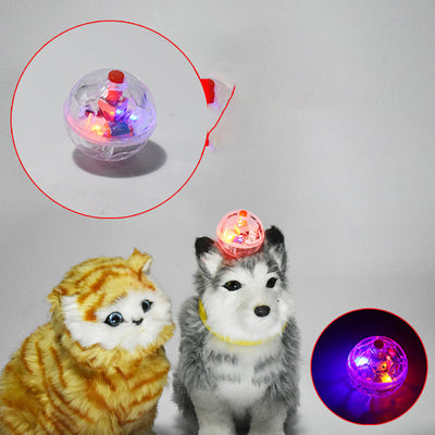 Luminous transparent plastic cat ball mouse toy with flashing multi-color LED lights, shown on a plush dog.