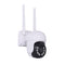White US WiFi 2 megapixel