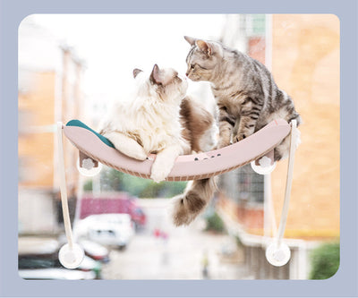 Hamaca Colgante para Gatos - Relájate al Sol - Image 16