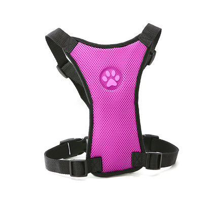 Bolsa de Entrenamiento y Adiestramiento para Perros - Image 7