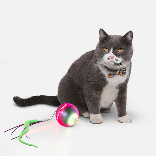 Electric cat toy with a glowing purple and green ball, attached to a fuzzy green tail with purple ribbons. - Image 9