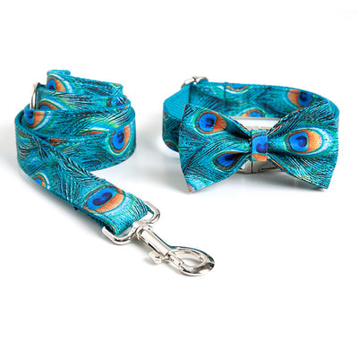 Collar Personalizado para Perro con Letras - Estilo y Identidad - Image 14