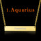Engraved Constellation Necklace Photo Color Aquarius
