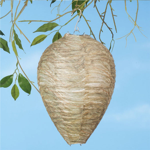 Linterna Colmena 22x28cm - Lámpara Decorativa Guía