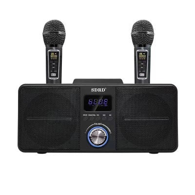 Sistema de Karaoke Portátil con Micrófono Dual y Subwoofer Bluetooth - Image 9