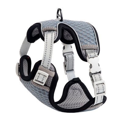 Arnés de Paseo para Gatos - Correa Pectoral Ajustable - Image 2