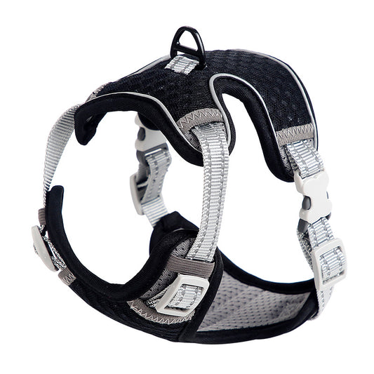 Arnés de Paseo para Gatos - Correa Pectoral Ajustable