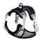Arnés de Paseo para Gatos - Correa Pectoral Ajustable